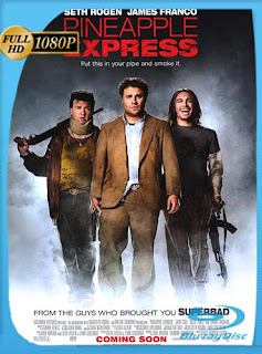 Piña express [2008]​ HD [1080p] Latino [GoogleDrive] SXGO