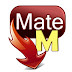 Download Tubemate for Mobile