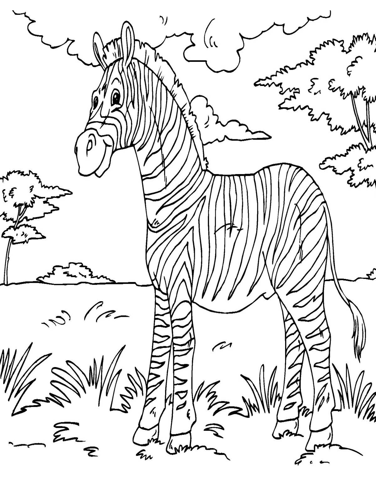 zebra coloring pages without stripes - photo #35