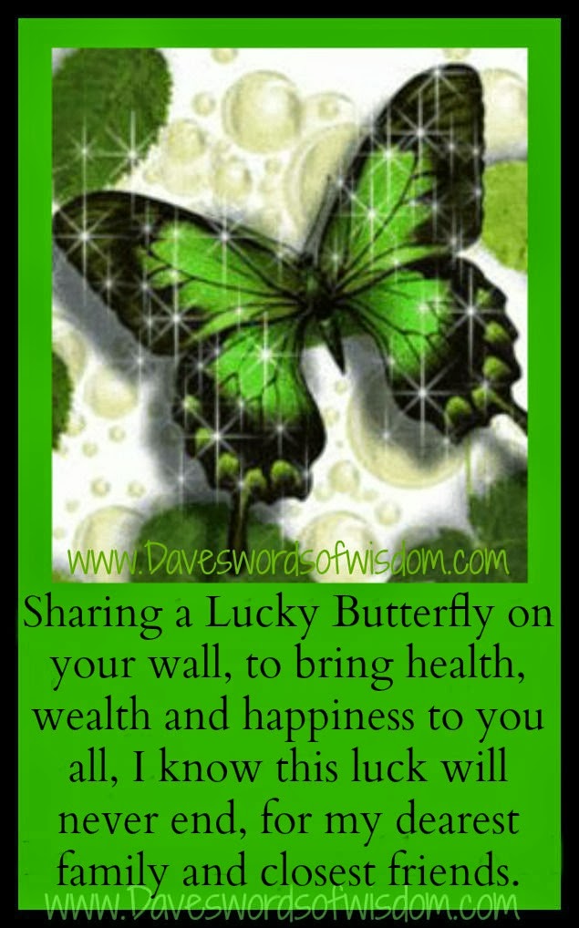 The Lucky Butterfly