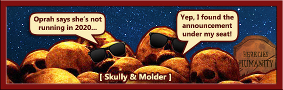 Zoological Collection Of The University Of Rostock Rostock