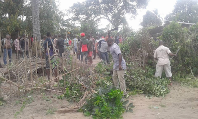 2e Photos: Ogoni youths destroy marijuana smoking joints in their community