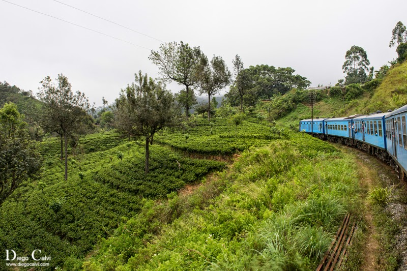 Tren de Kandy a Ella y sus plantaciones de Té - Sri Lanka, la lagrima de la India - Vuelta al Mundo (3)