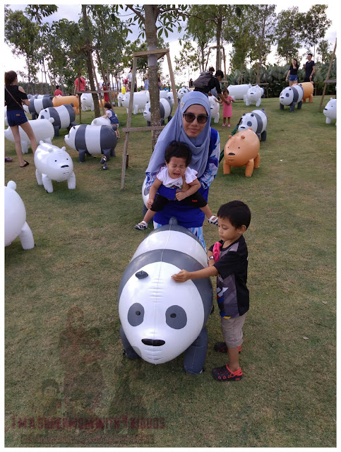 Banyaknya beruang comel di EcoForest, Broga Hills Semenyih. Banyaknya beruang comel di EcoForest, Broga Hills Semenyih.