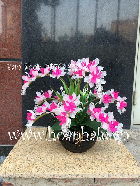 Hoa đá pha lê ở Giảng Võ Hoa da pha le o Giang Vo