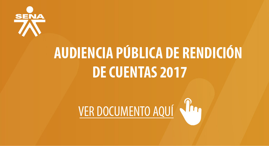 Audiencia Publica Rendición de Cuentas 2017