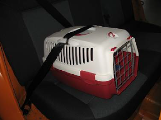 caixa de transporte para animais
