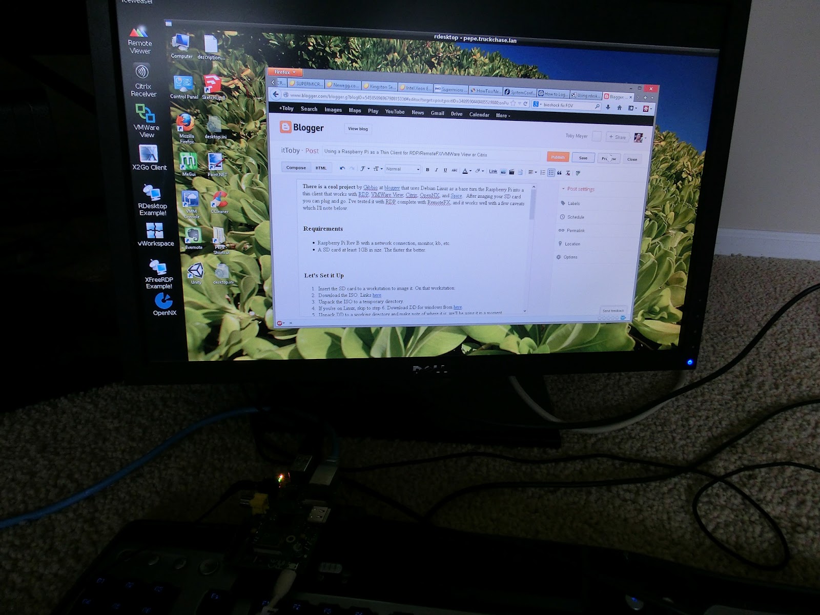 Raspberry pi citrix client