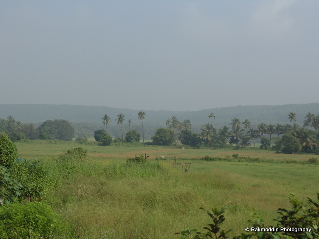 Pune to Goa: Day 2 - bike ride in North Goa