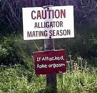 Funny alligator mating season warning sign joke picture