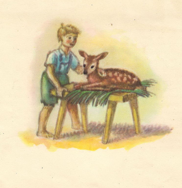 Garaż ilustracji książkowych: Rogaś z doliny Roztoki - Witold Chomicz - 1