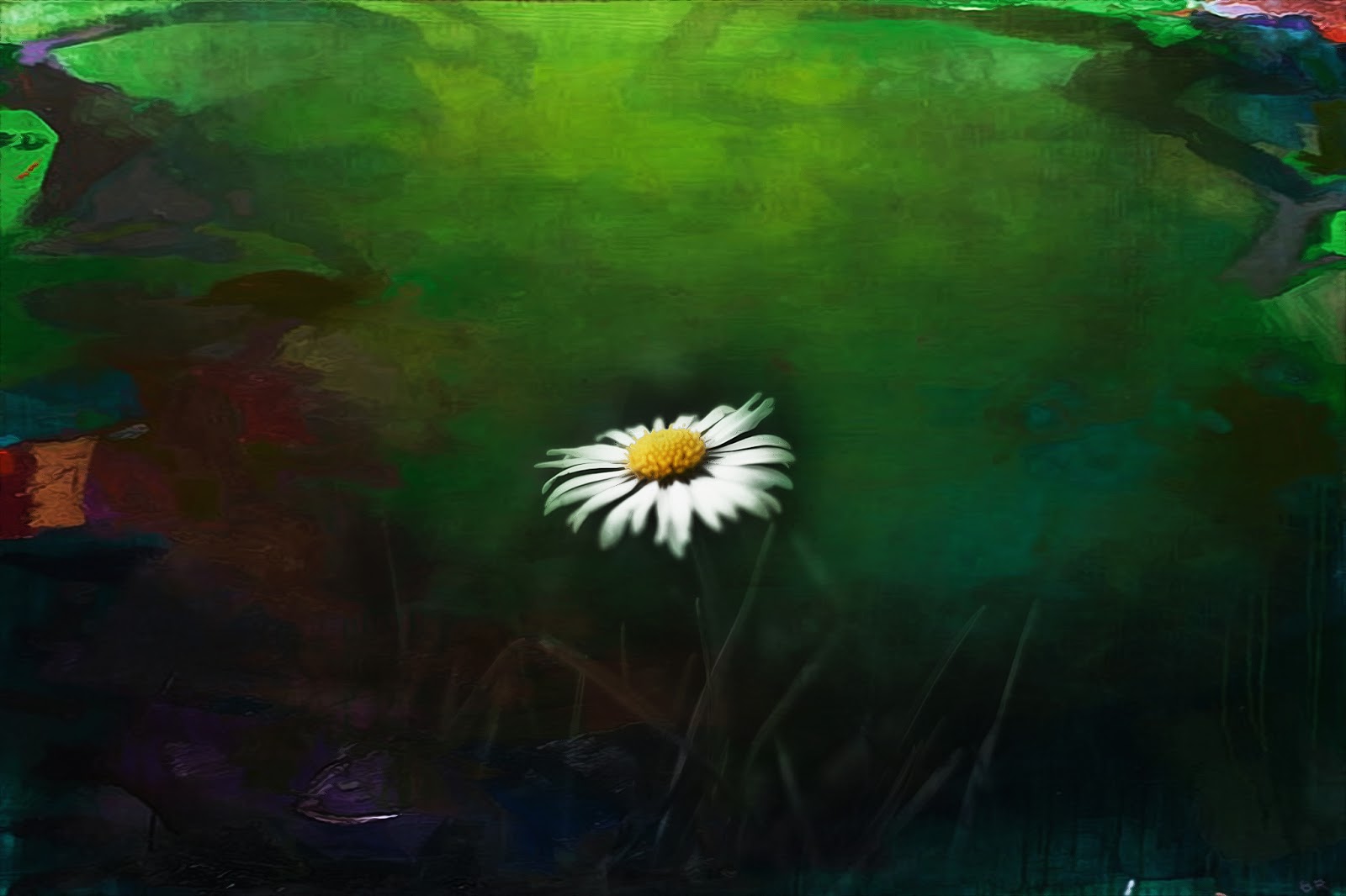 Wo Stille Wohnt Und Glanz Januar 2017