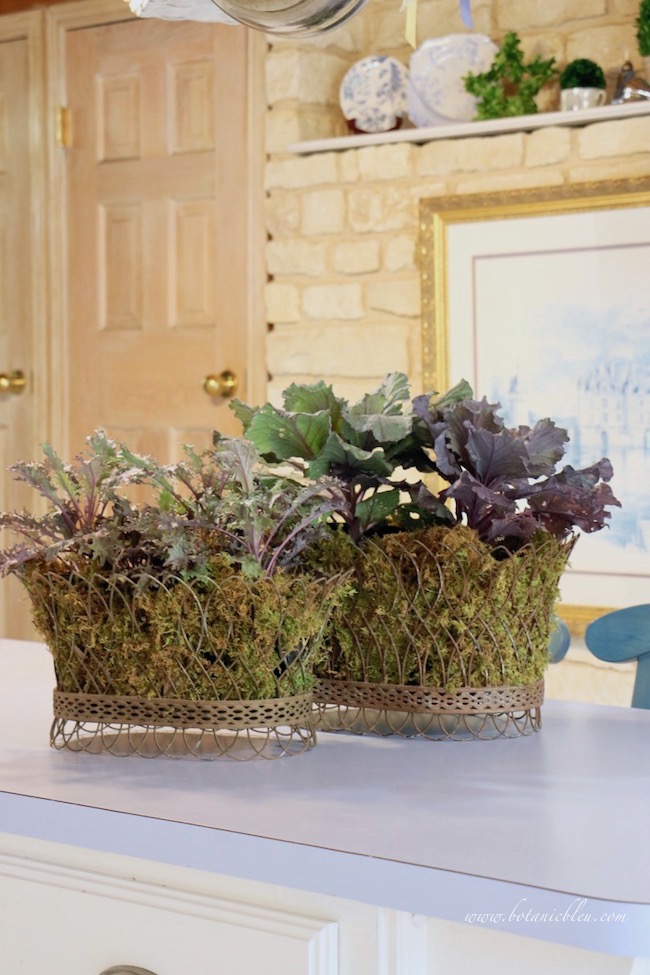 fall french country kitchen with stone wall decorated with ornamental kale in french wire baskets