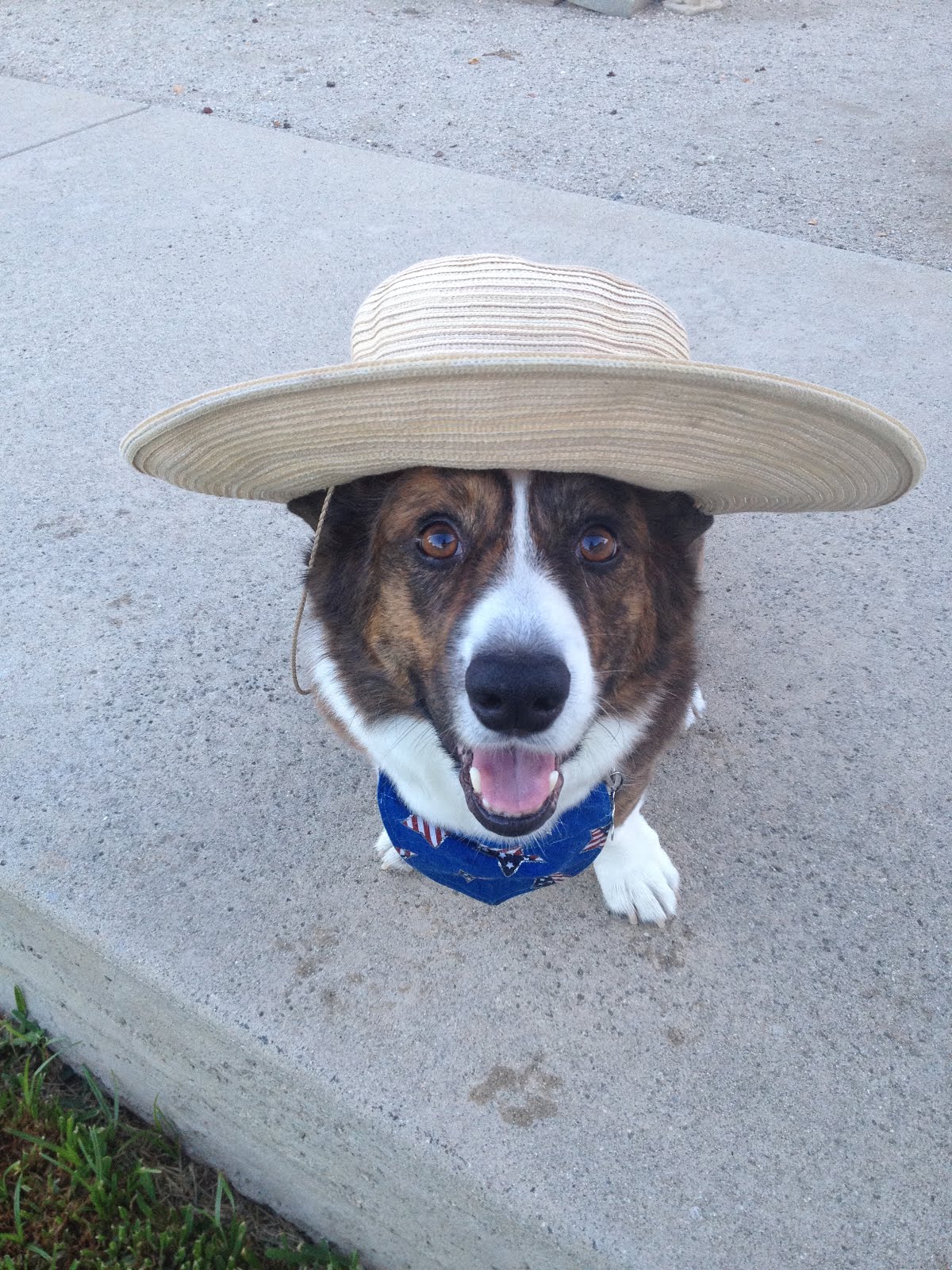 My little helper in the Garden