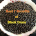 Best 7 Benefits of Black Gram