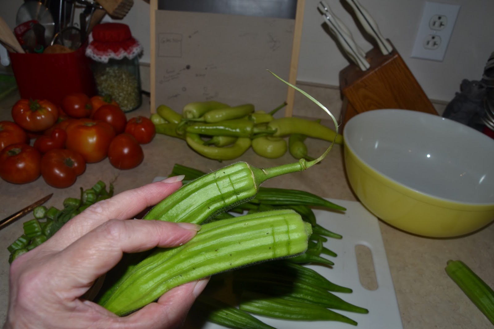 Perky Gramma Teaches How To Make Dehydrated Okra Chips
