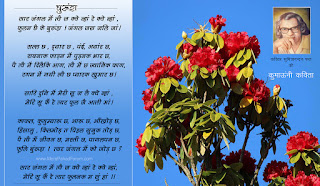 सुमित्रानंदन पंत की वसंत पर कविता, ऋतुओं पर कविता, वसंत ऋतु पर निबंध, हेमंत ऋतु पर कविता, varsha ऋतु पर कविता, बसंत पर शायरी, वसंत ऋतु के त्योहार, सरसों पर कविता