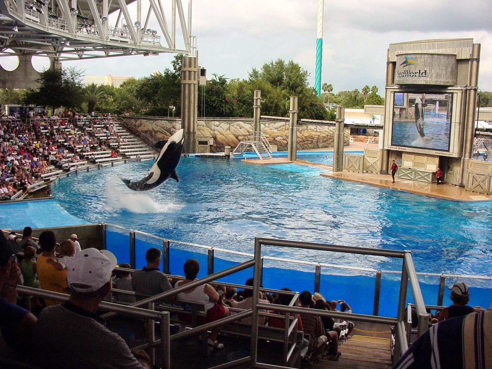 SeaWorld Florida, Orlando Travel Guide