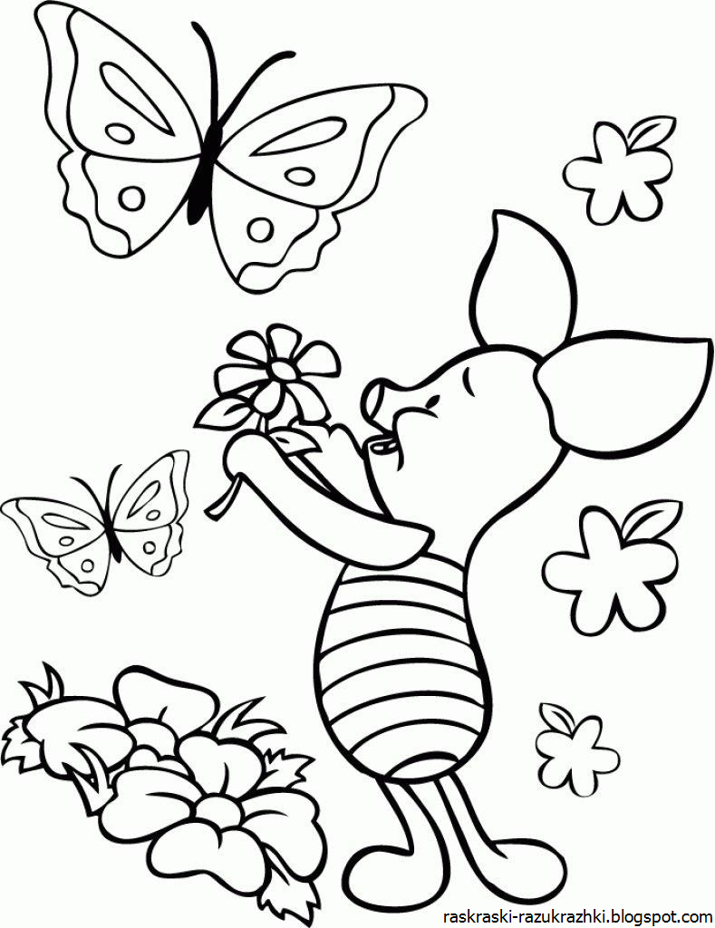 Бабочка на цветке раскраска для малышей