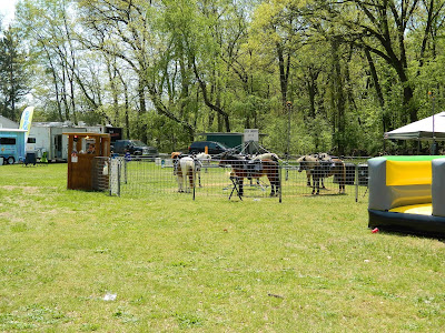 Pony rides at the Toledo Polish American Festival