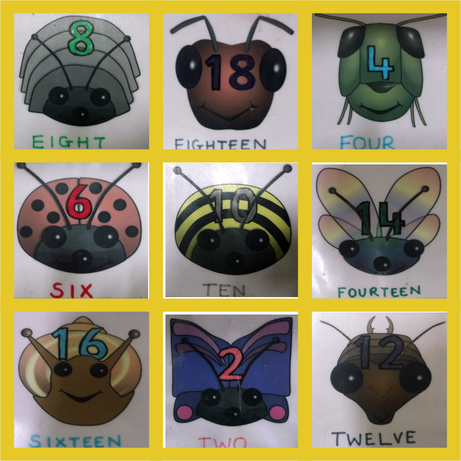 Quart, CEIP Es Vedrà 2012-13