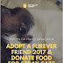 DIDI THE CAT CHARITY : LETS DONATE FOOD FOR STRAY CATS