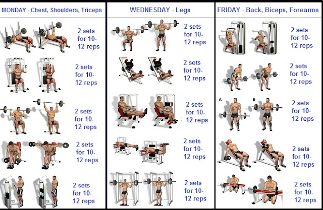 Weekly Workout Plan To Build Muscle Mass Weekly Workout Plan To Build Muscle Mass