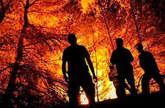 Banda de pirómanos: alertan presencia de asaltantes incendiarios en Chetumal, van dos casos dice Bomberos 
