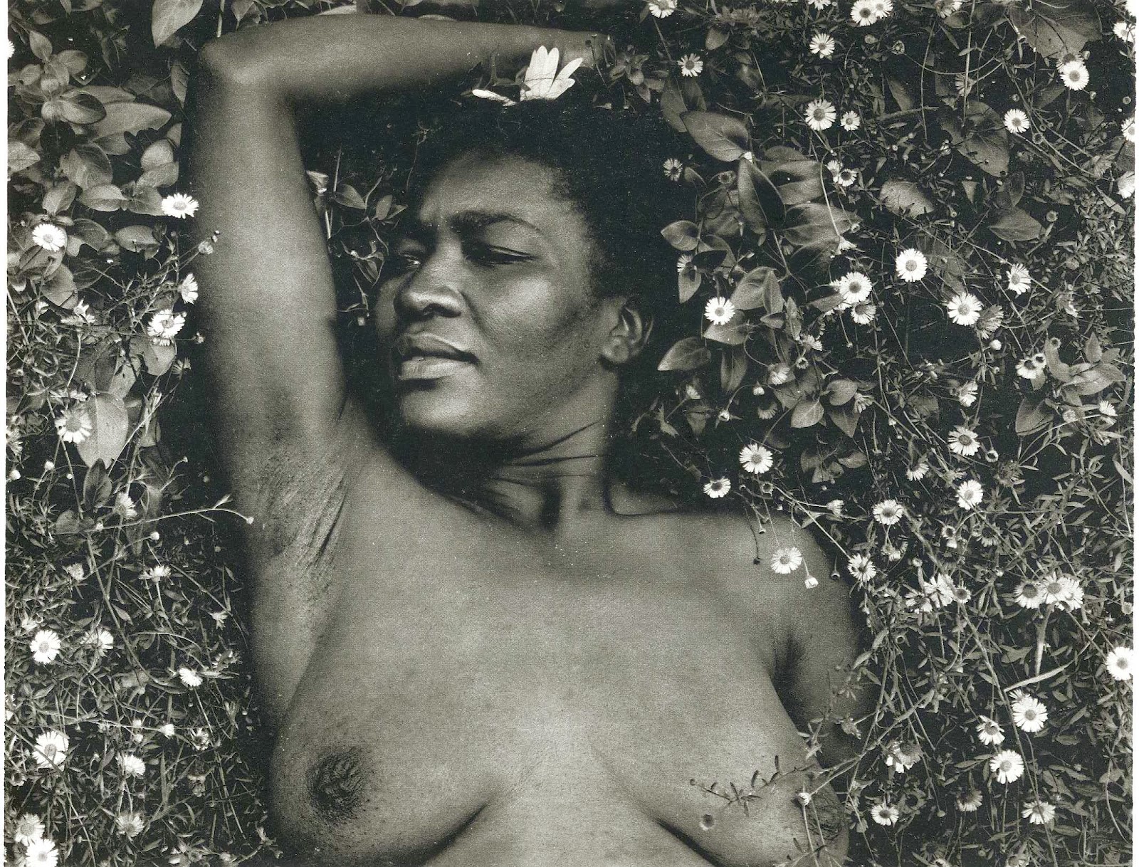Edward H. Weston: Art and Nude.