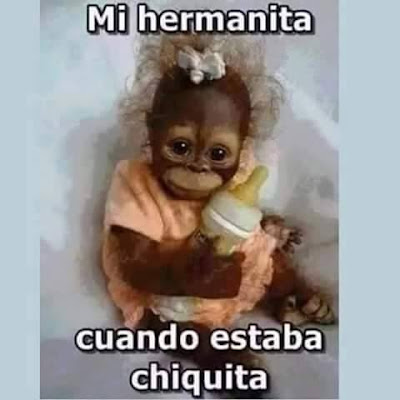 Image result for Imagenes De Risas Graciosas