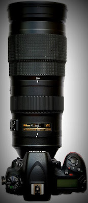 AF-S NIKKOR 200-500mm f/5.6E ED VR en cuerpo Nikon Fotografia_Nikon_Abuelohara