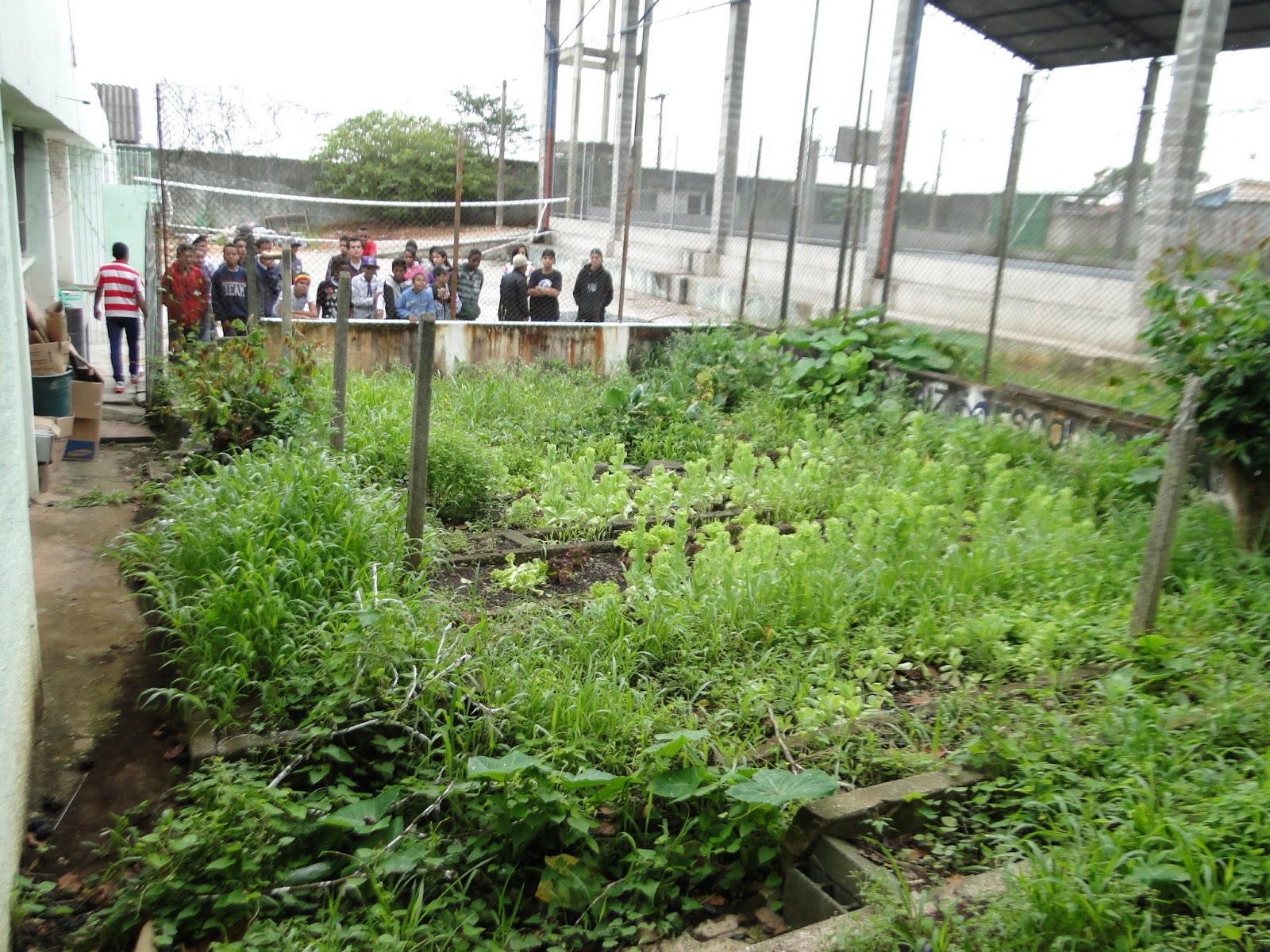 projetohortajosepapaiz2013: PROJETO HORTA - EE PROF. JOSÉ PAPAIZ