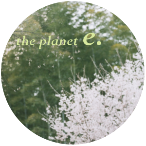 The Planet E