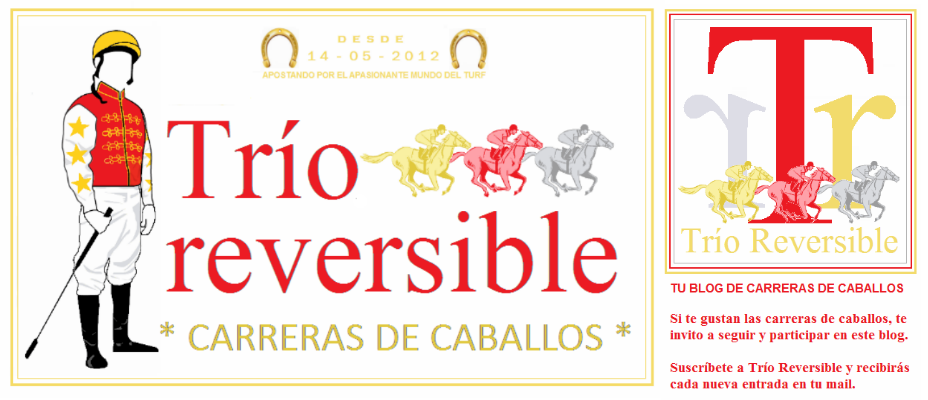 Trío Reversible