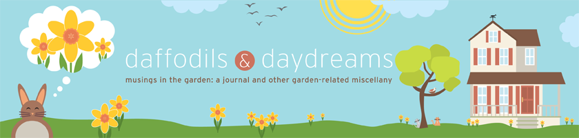 Daffodils & Daydreams