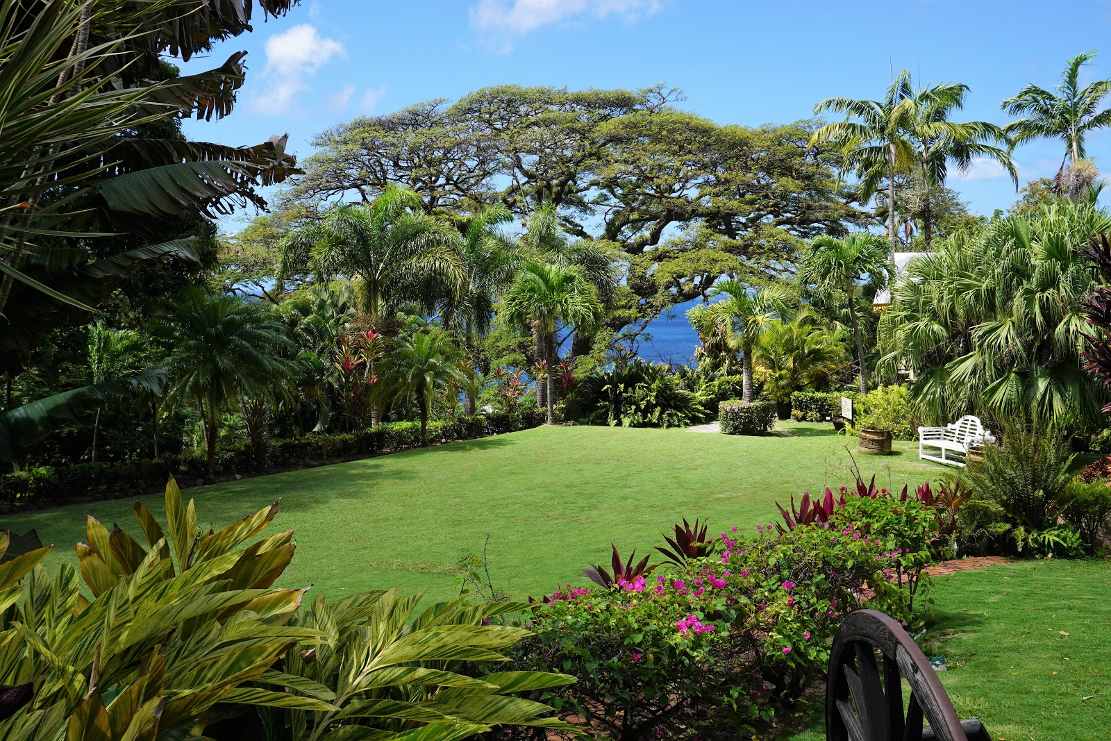 Souvenir Chronicles: ST. KITTS: ROMNEY MANOR, CARIBELLE BATIK, AND