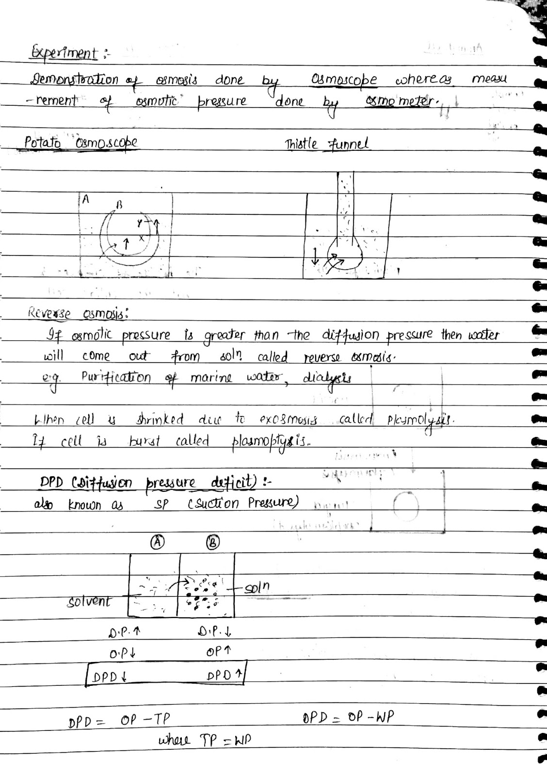 Revision Notes for CBSE Class 11 Biology Chapter 11 - Free PDF Download