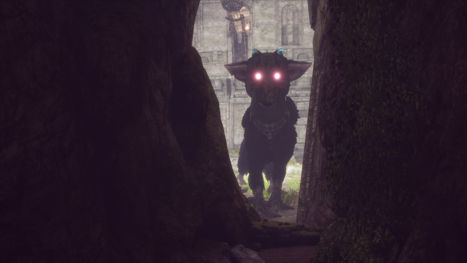 THE LAST GUARDIAN Master of the Valley 