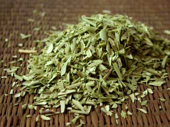 http://2.bp.blogspot.com/-tvlXR8vIOoA/Tw9bv7F6EII/AAAAAAAAHik/Ape0mAUVBQc/s1600/olive_leaf.jpg
