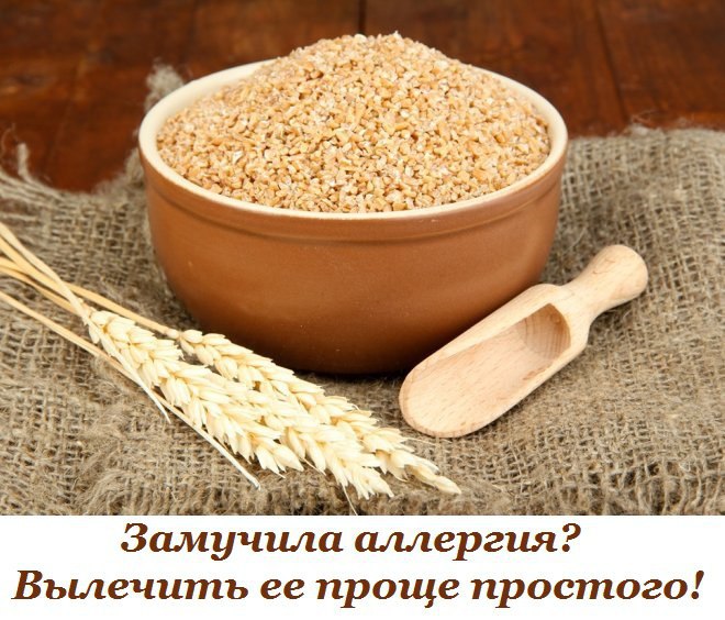 как пить таблетки от глистов собаке как пить таблетки от глистов собаке