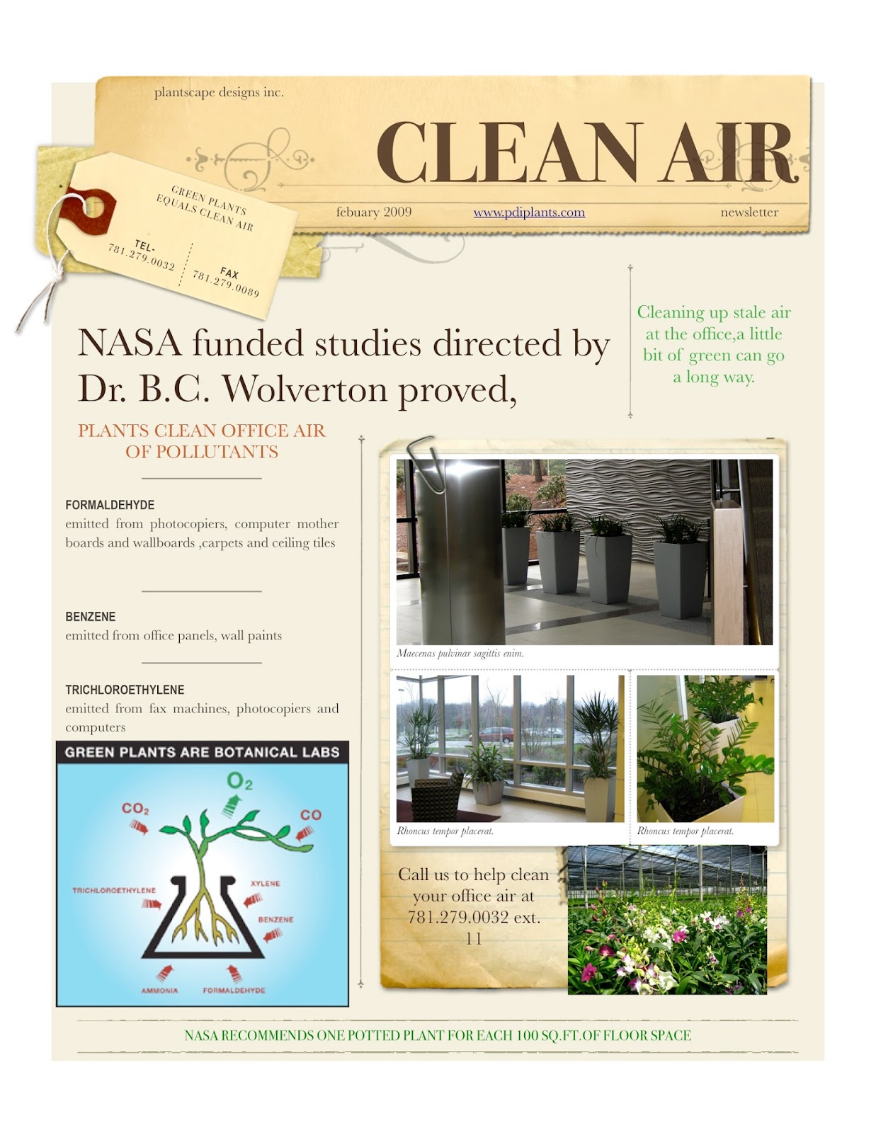 Office Plants Clean Air Interior Landscapers Saugus Massachusetts. Plantscape Designs, Inc.