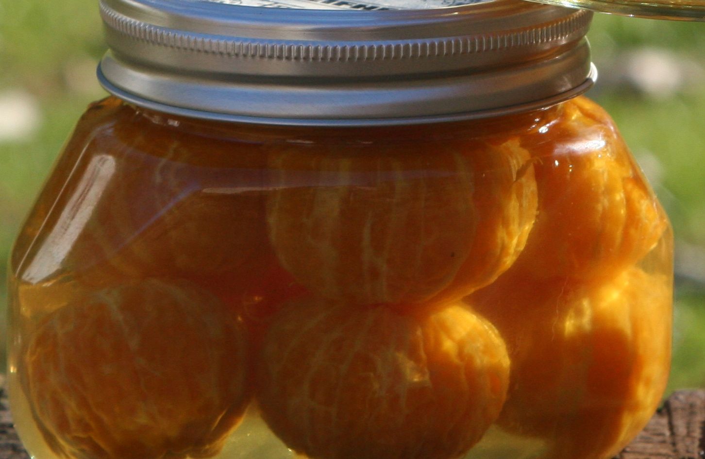 dried clementines dried clementines
