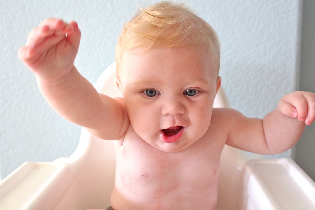 6 months old MADE EVERYDAY