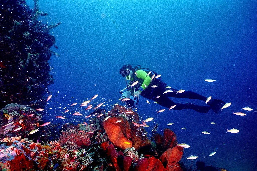Taman Laut Bunaken Wisata Terbaik Diving dan Snorkeling