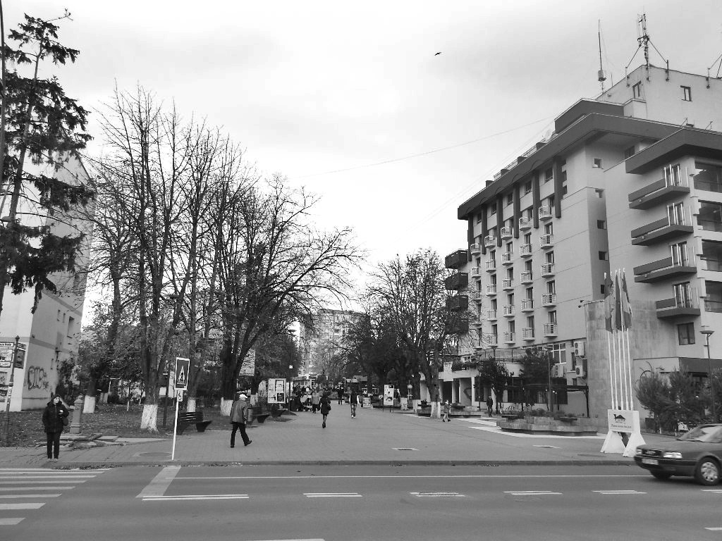 Crampeie de istorie botosaneana Plimbare prin Botoşani (I)