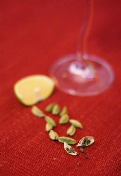 Liquor Digest Indian Inspired Cocktail Bitter Orange & Cardamon Martini