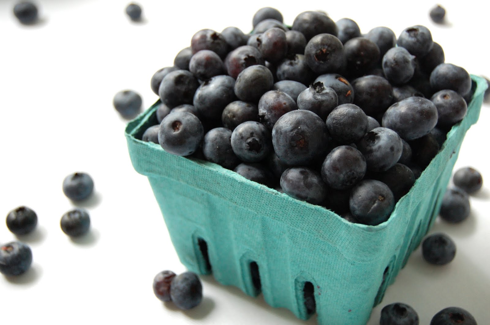 TALBOT Taste NEW JERSEY BLUEBERRIES
