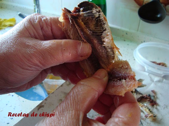 Imagen 0