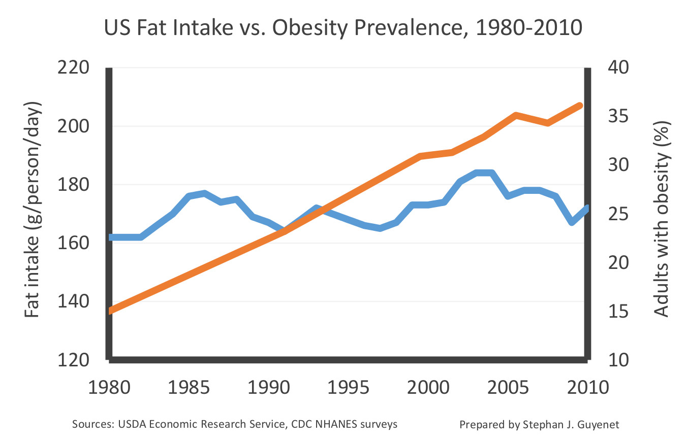 Fat Statistics In America 28