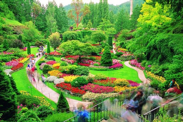Kumpulan Gambar Taman Bunga Yang Indah Dan Inspiratif Blog Bunga